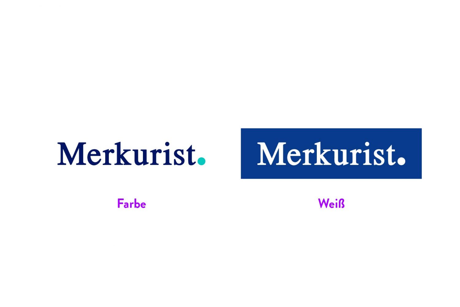 Merkurist-CI Guide-03
